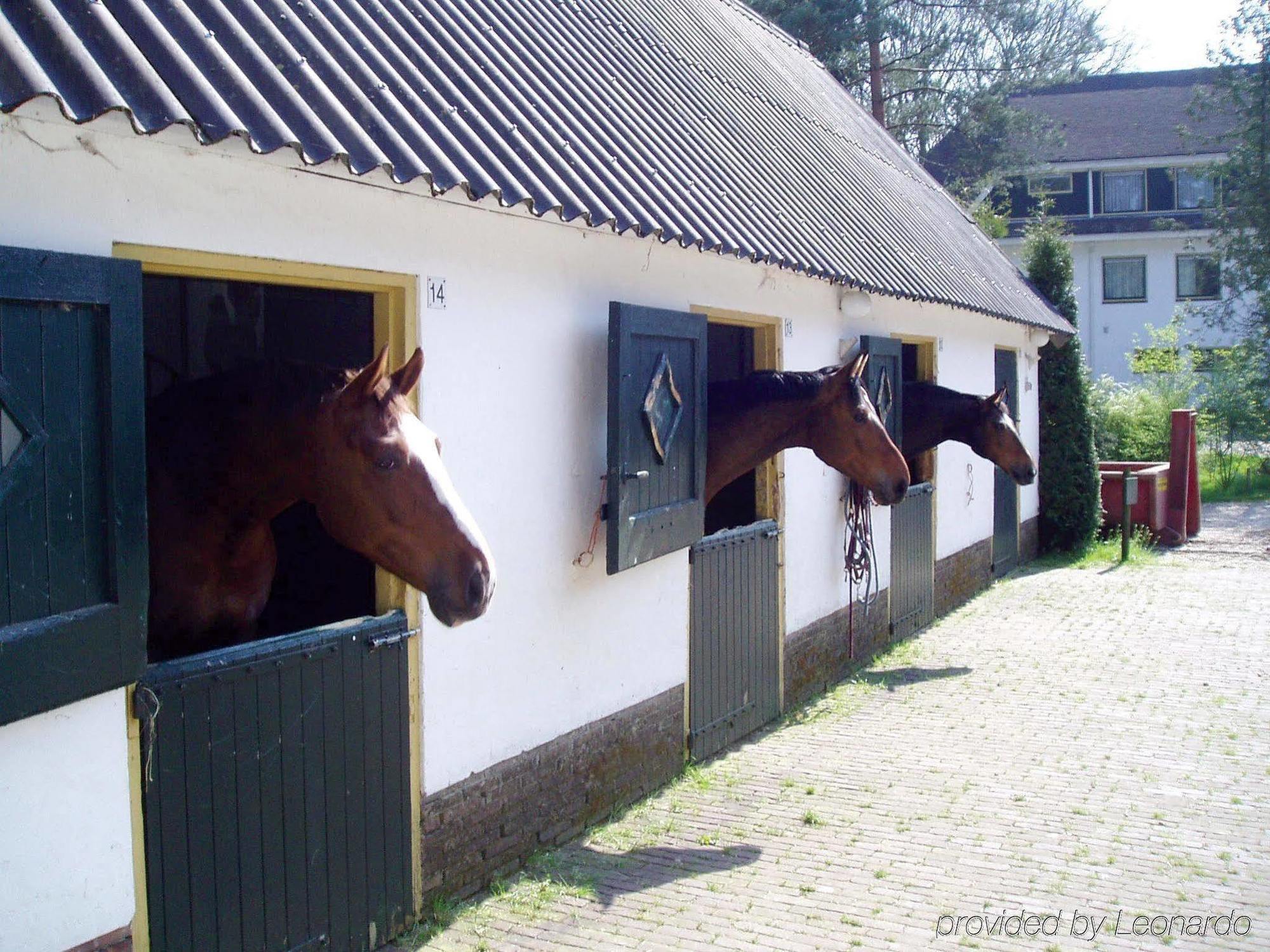 Fletcher Boutique Hotel De Mallejan Vierhouten Bagian luar foto